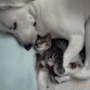 cuando el gato lucas era pequeño dormiamos siempre asi!!!!!
